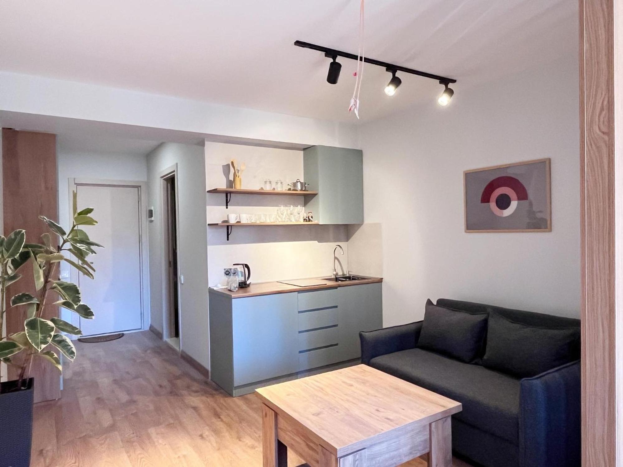 Delux Apartment Next To Ice Rink Gudauri Luaran gambar